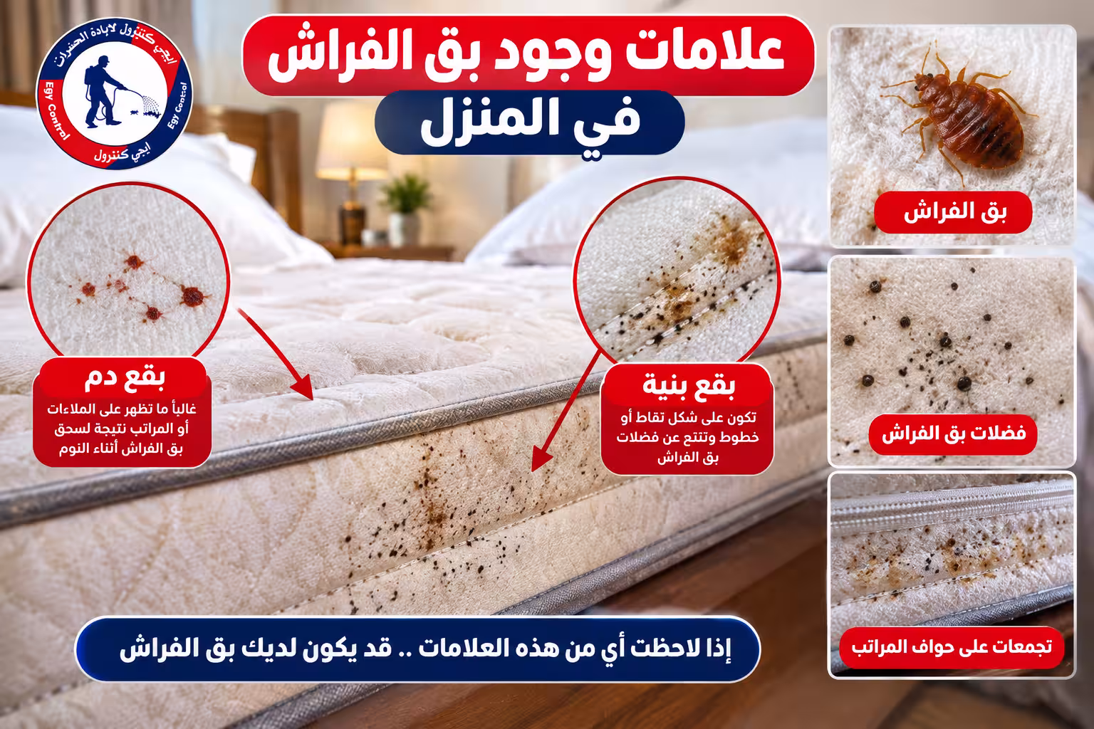 شركة مكافحة بق الفراش في 6 أكتوبر 01060662760 خصم 50% 3 علامات وجود بق الفراش في المنزل - بقع دم وبقع بنية على المراتب